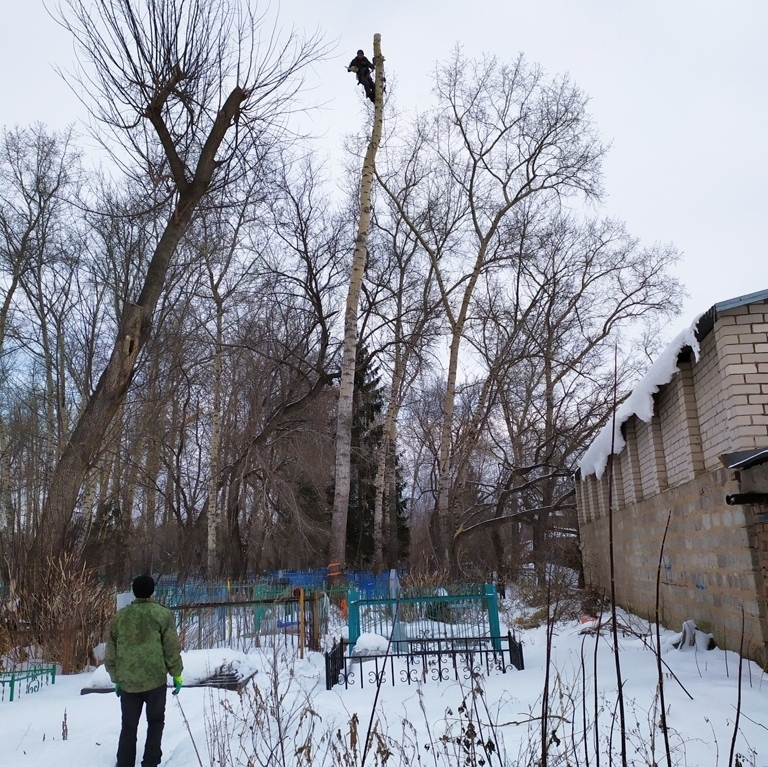 удалить дерево на кладбище Саратов