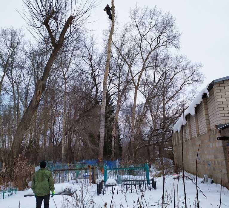 удалить дерево на кладбище Саратов