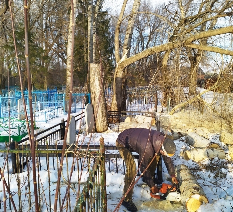 снос дерева частями Саратов